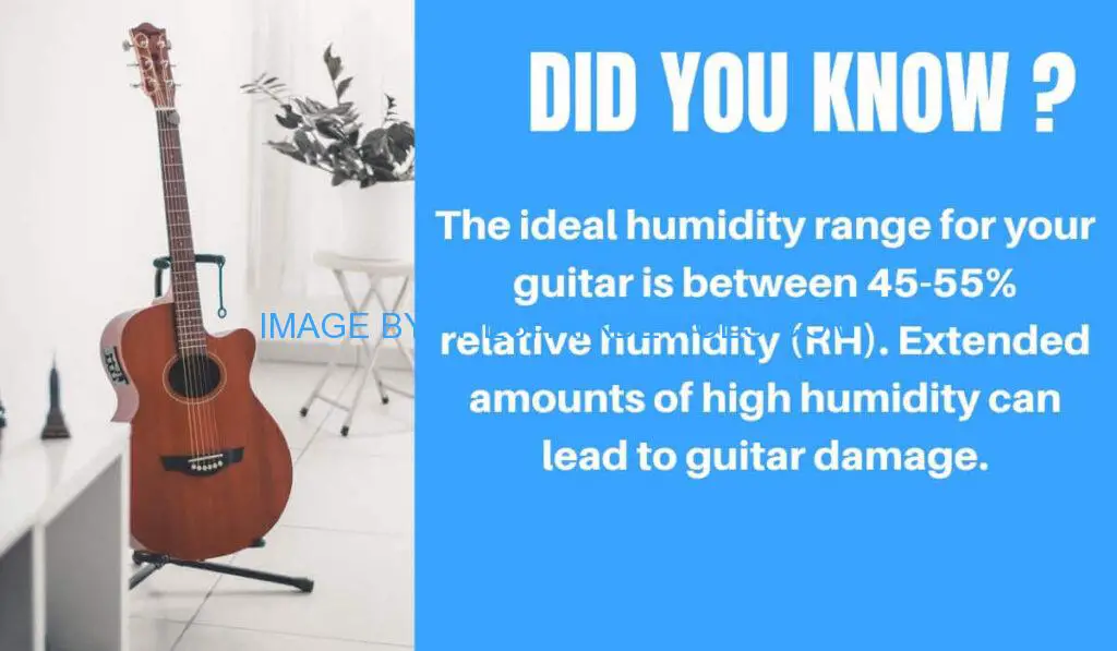 Best Dehumidifier For Guitar Rooms