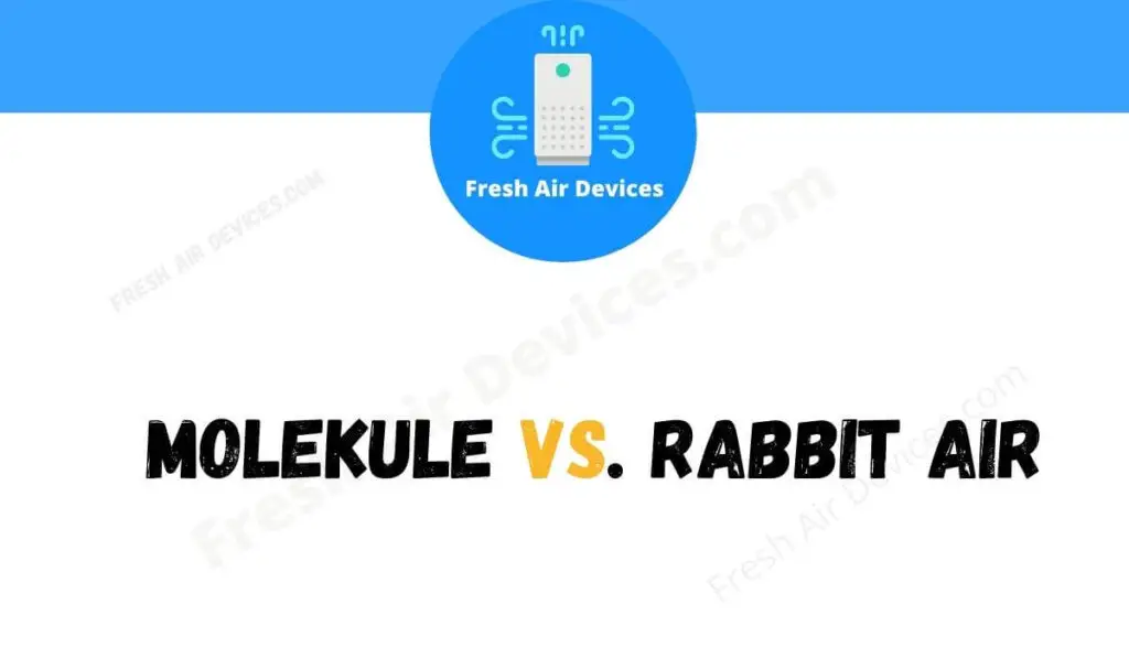 Molekule Vs. Rabbit Air (Air Purifier Comparison)