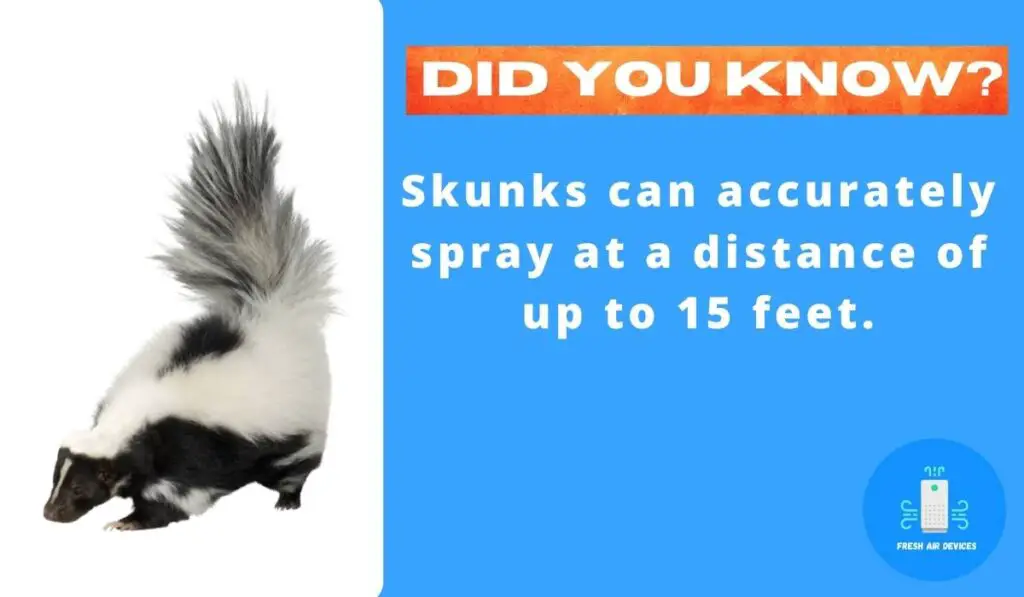 Can An Air Purifier Remove Skunk Smell?