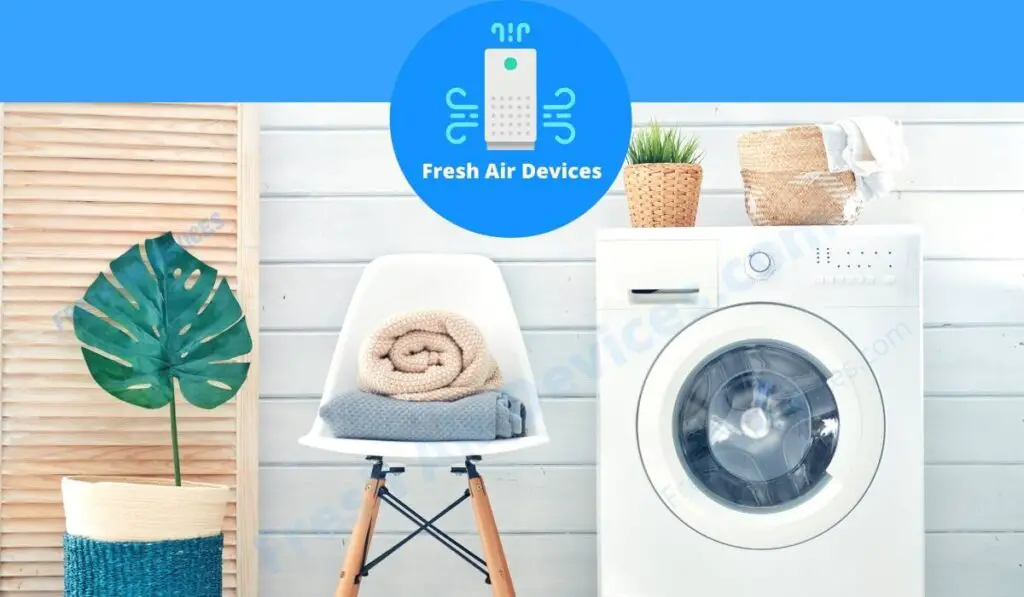 Best Dehumidifier For Laundry Room