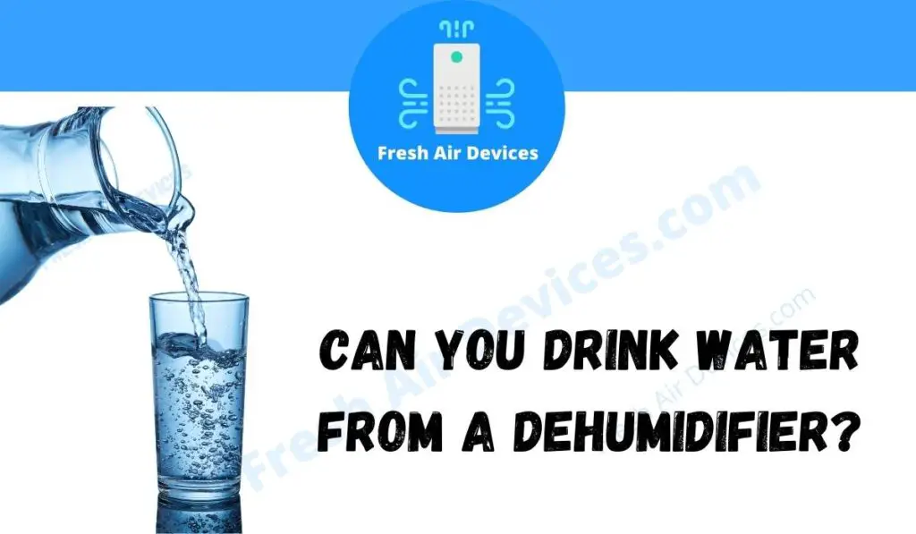 Can You Drink Water From A Dehumidifier?
