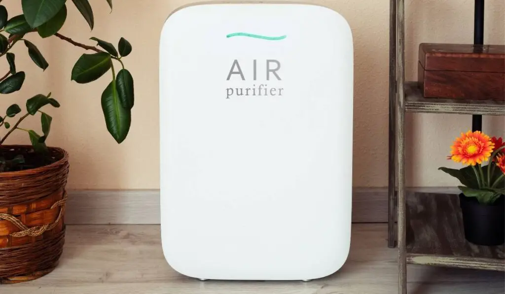 Can An Air Purifier Be Too Big For A Room?