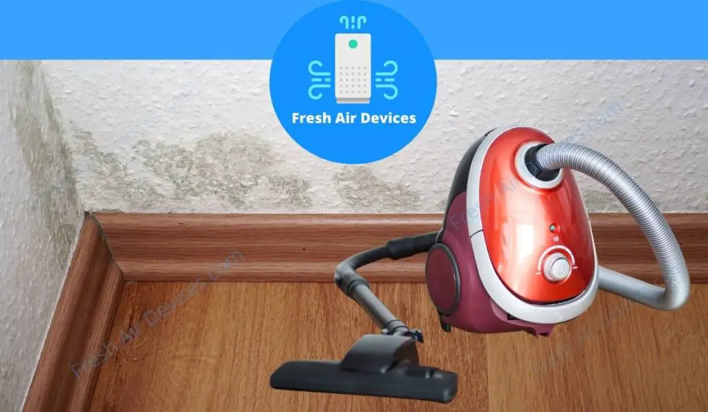 Best HEPA Vacuums For Mold