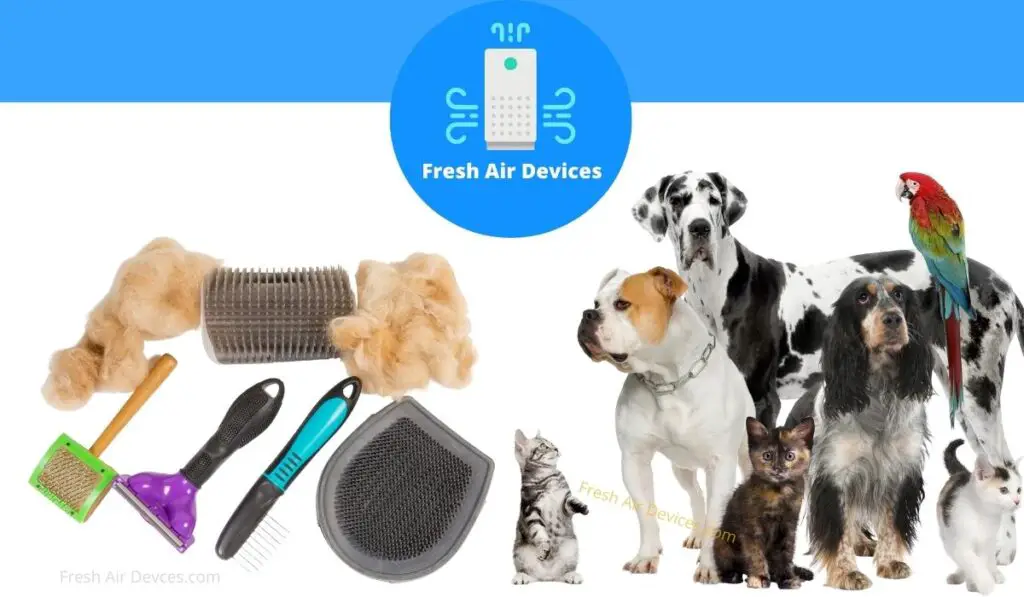  Remove Pet Hair From The Air