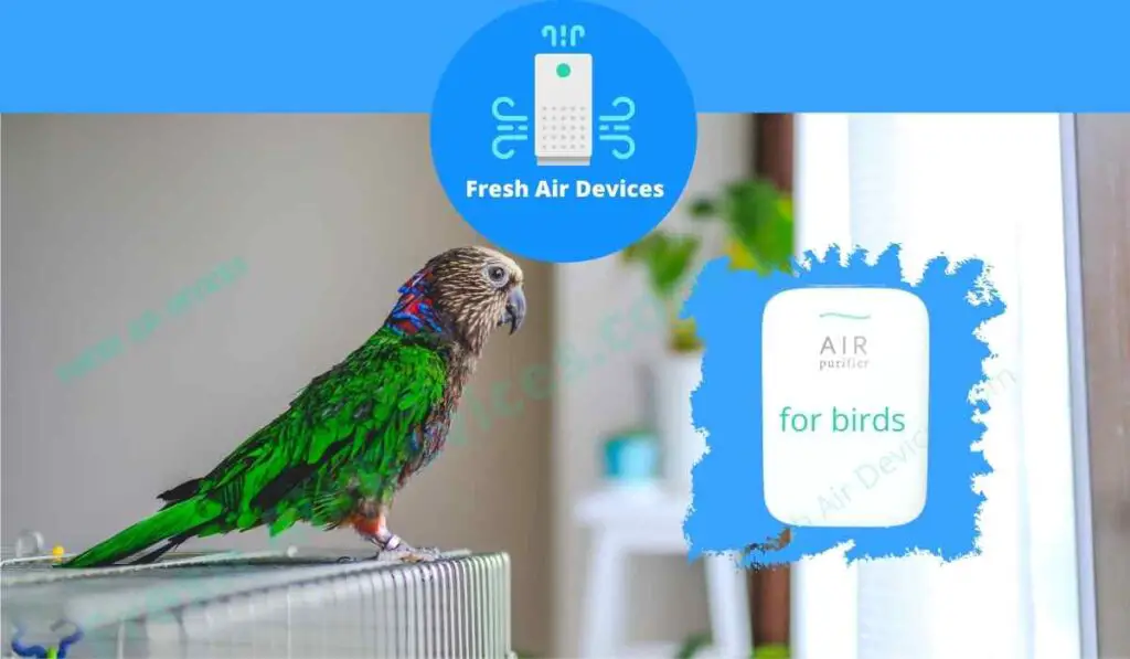 Best Air Purifiers For Bird Owners 