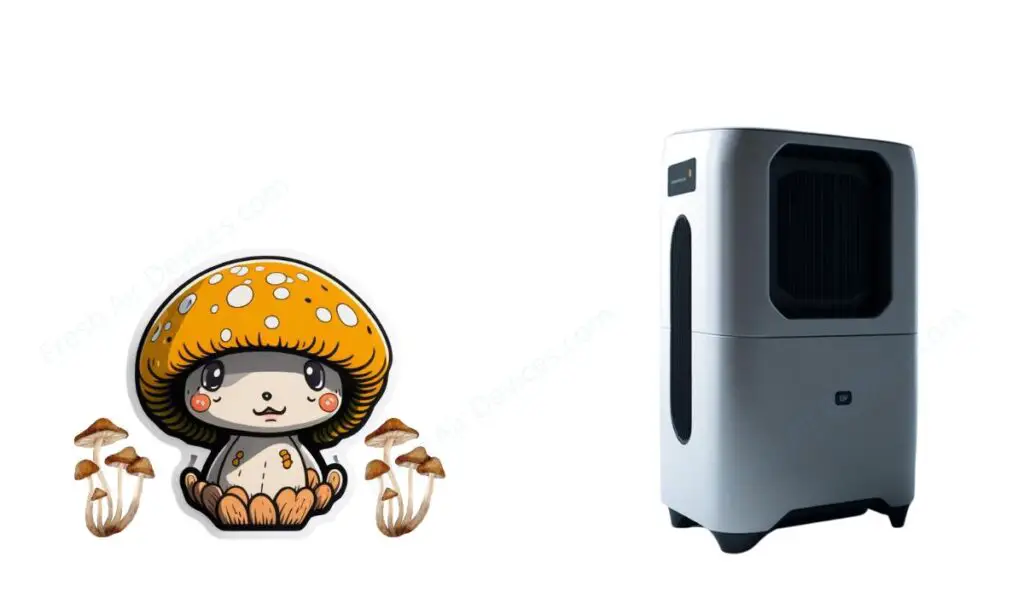 Best Air Purifier For Growing Mushrooms
